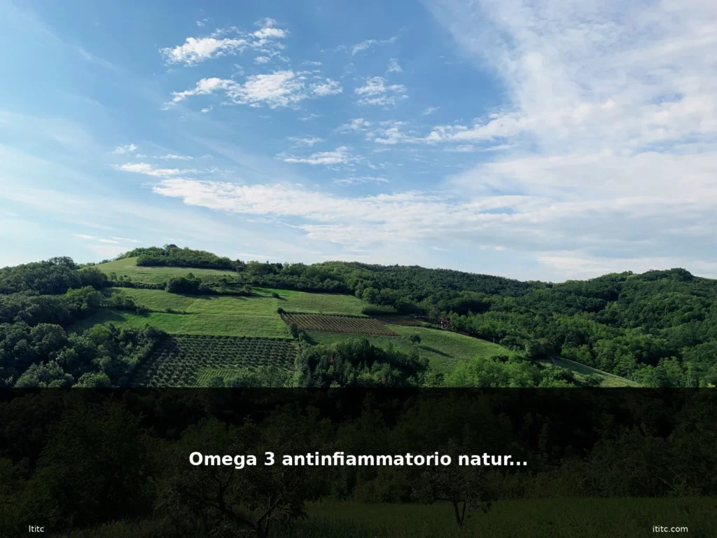 featured bosco italiano natura sentiero