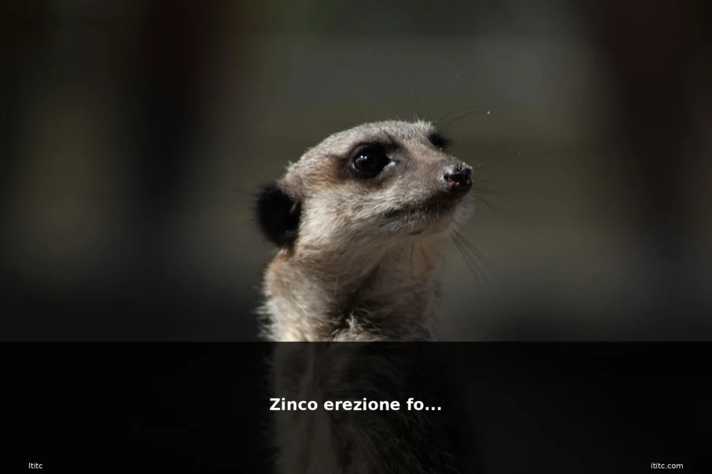 Zinco erezione forum 2 featured zinco forum integratore natura