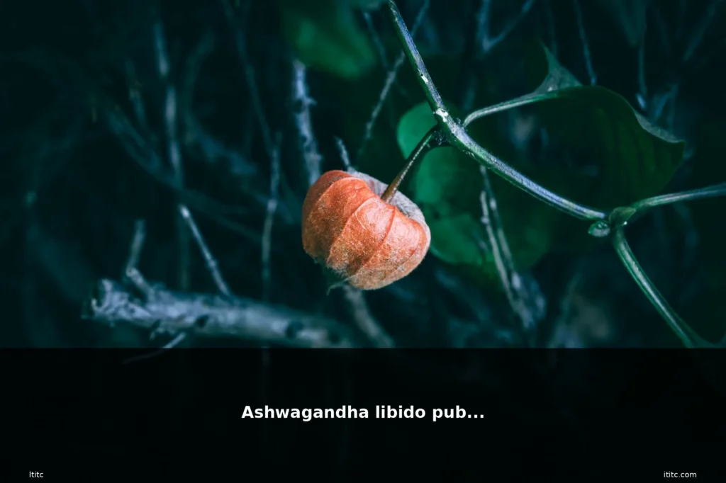 featured ashwagandha pubmed erba pianta
