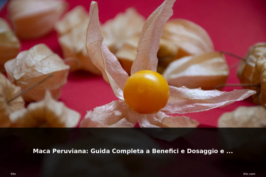 Maca Peruviana: Guida Completa a Benefici e Dosaggio e Uso 3 featured maca peruviana erba pianta ri 1