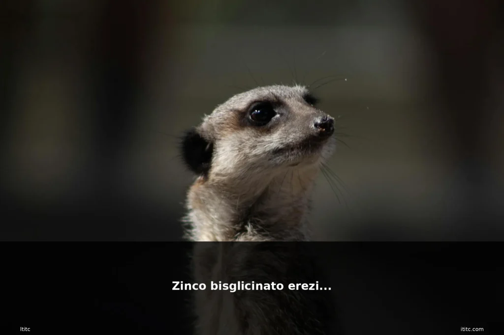 featured zinco bisglicinato integratore