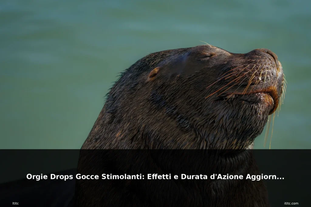 Orgie Drops Gocce Stimolanti: Effetti e Durata d'Azione Aggiornato 7 featured stimolanti donna sorriso aute